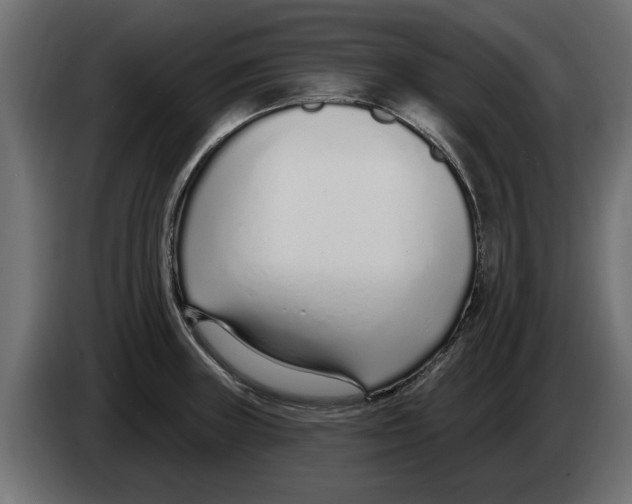 X0000082981235200703020249