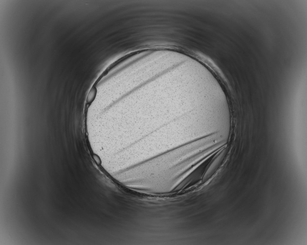 X0000082981236200703020249