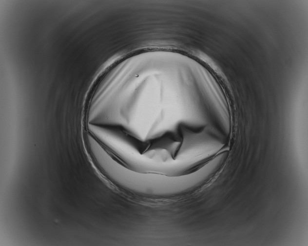 X0000082981237200703020249