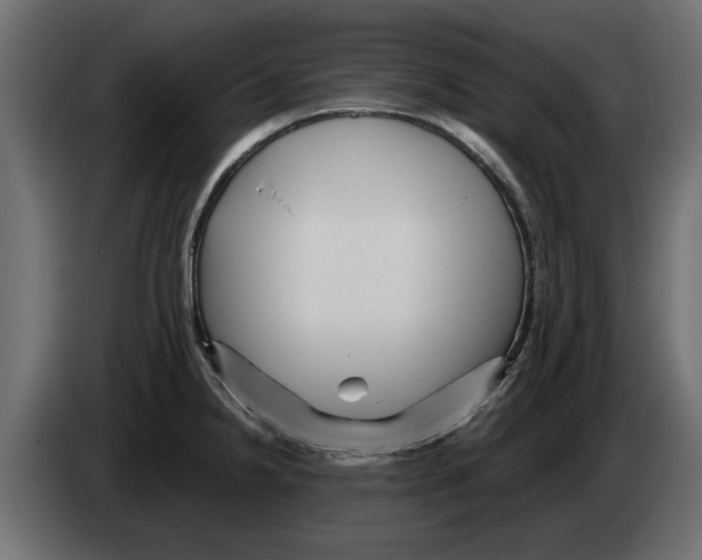 X0000082981238200703020249