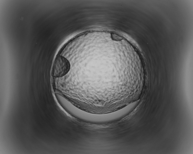 X0000082981239200703020249
