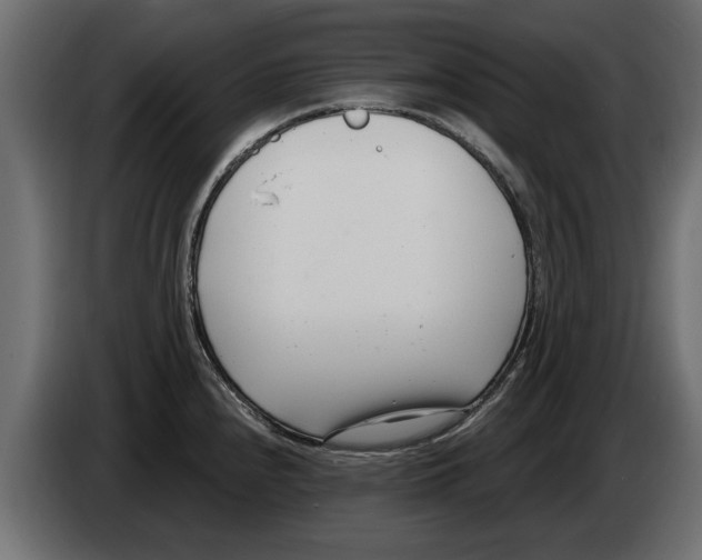 X0000082981240200703020249