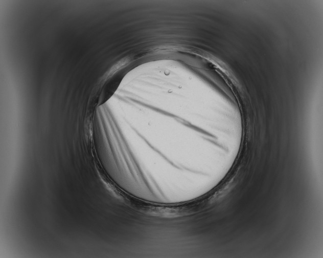 X0000082981241200703020249