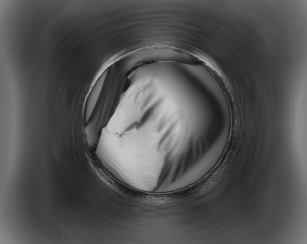 X0000082981242200703020249