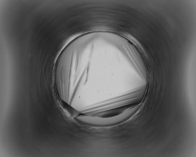 X0000082981244200703020250