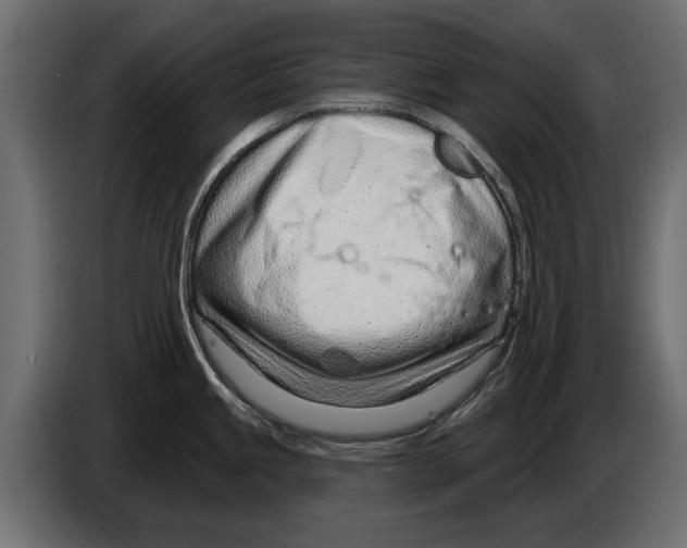 X0000082981245200703020250