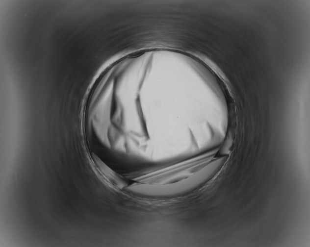 X0000082981246200703020250