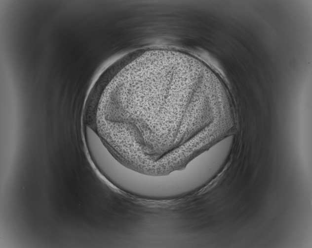 X0000082981247200703020250