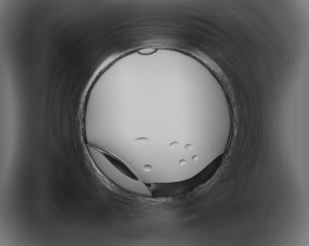 X0000082981248200703020250