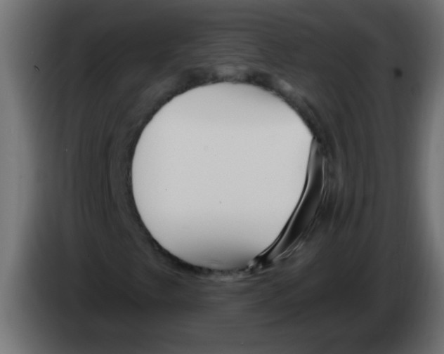 X0000082981249200703020249