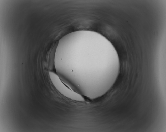 X0000082981250200703020249