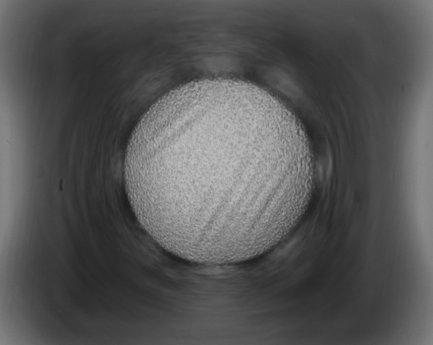 X0000082981251200703020249