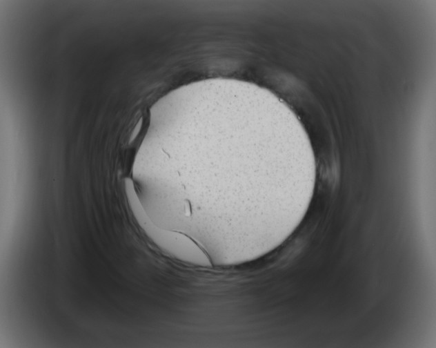 X0000082981252200703020249