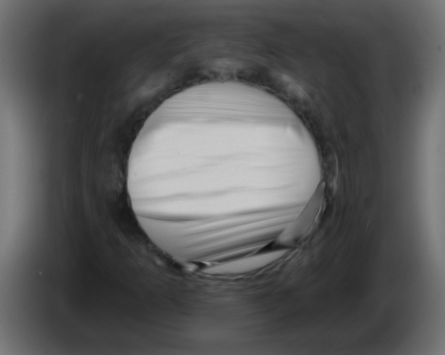 X0000082981253200703020249