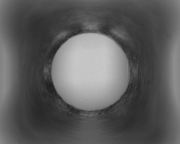 X0000082981254200703020249
