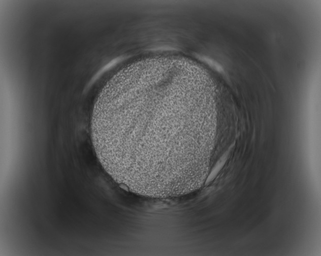 X0000082981255200703020249