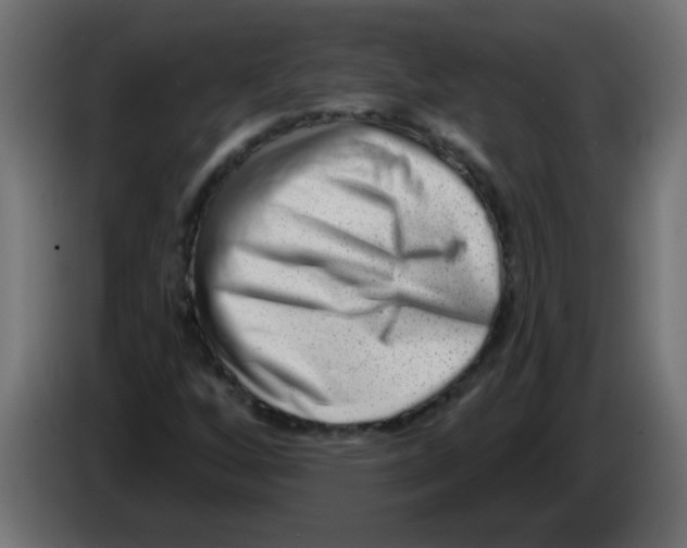 X0000082981256200703020249