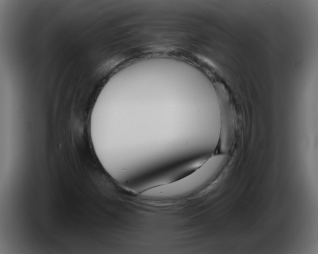 X0000082981257200703020249