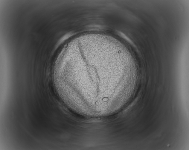 X0000082981259200703020249