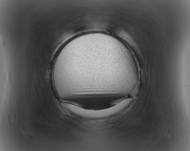 X0000082981260200703020249