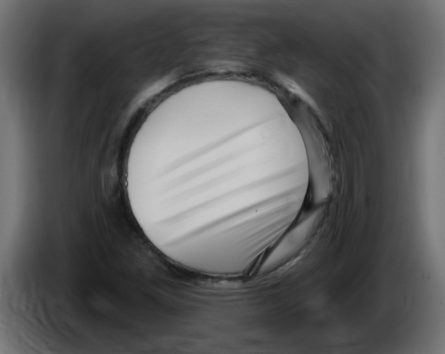 X0000082981261200703020249