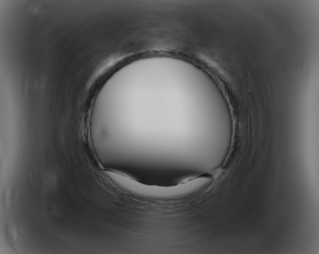X0000082981262200703020249