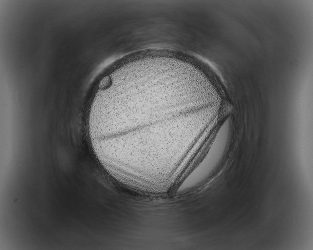 X0000082981263200703020249