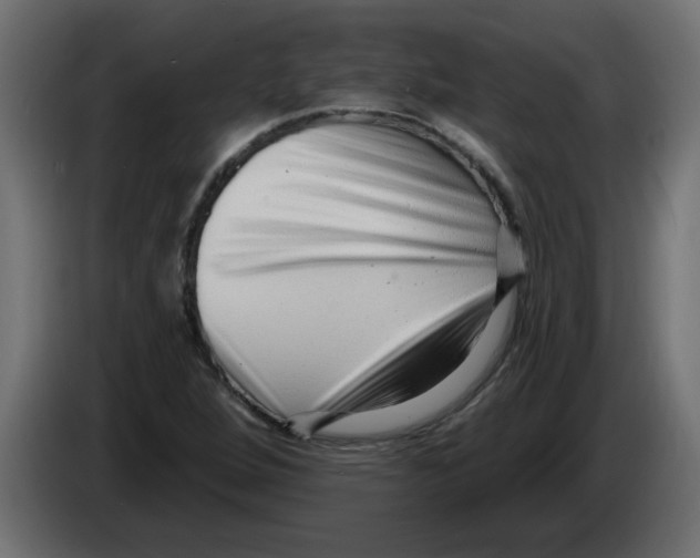 X0000082981264200703020249