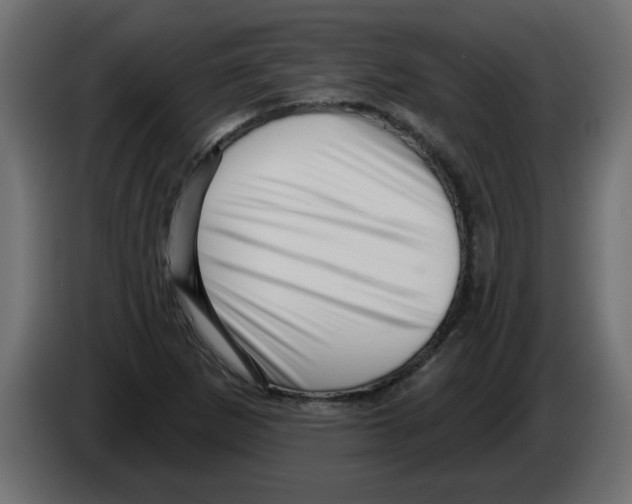X0000082981265200703020249