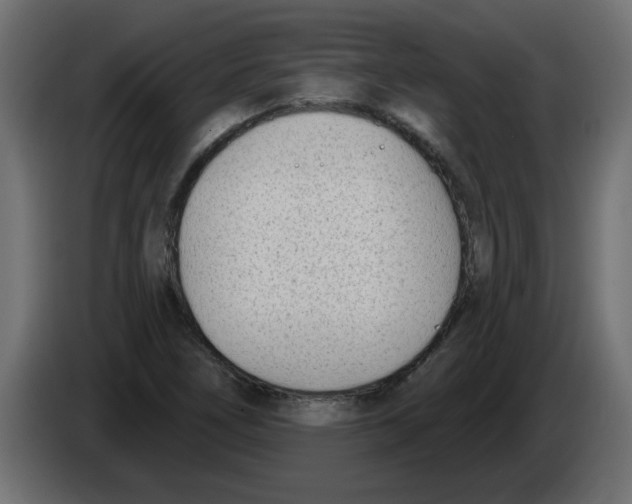 X0000082981266200703020249