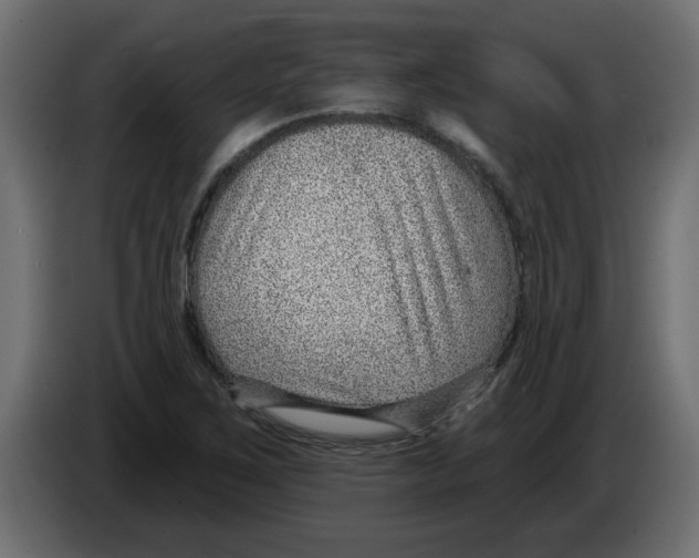 X0000082981267200703020249