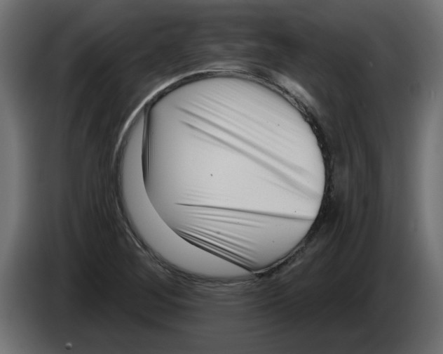X0000082981268200703020249