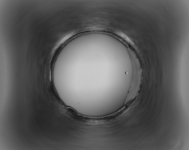 X0000082981269200703020249