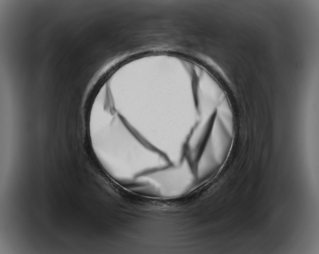 X0000082981270200703020249
