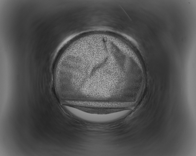 X0000082981271200703020249