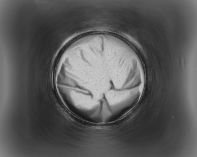 X0000082981272200703020249