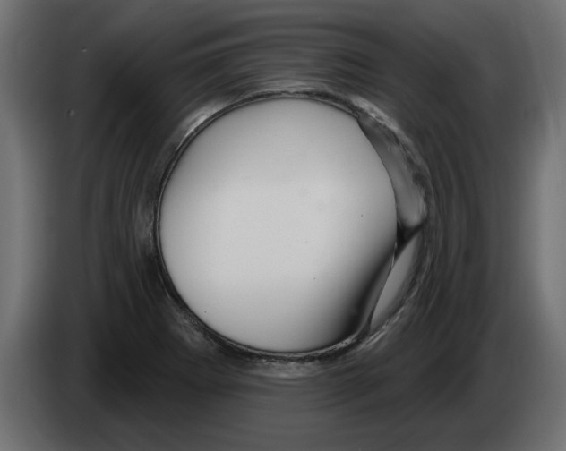 X0000082981273200703020249