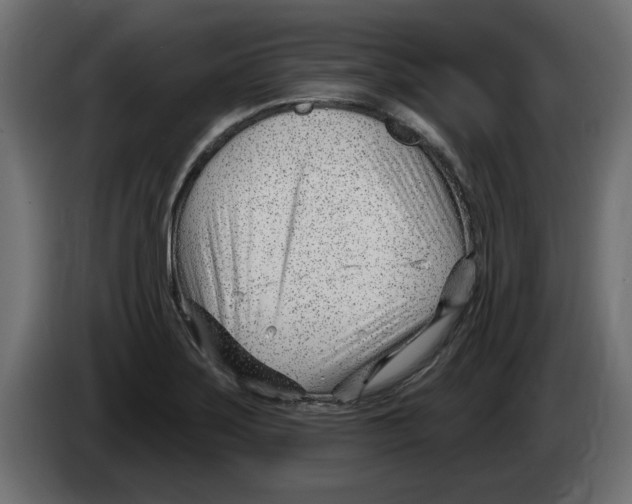 X0000082981275200703020249