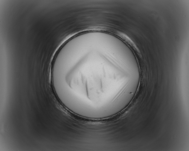 X0000082981276200703020249