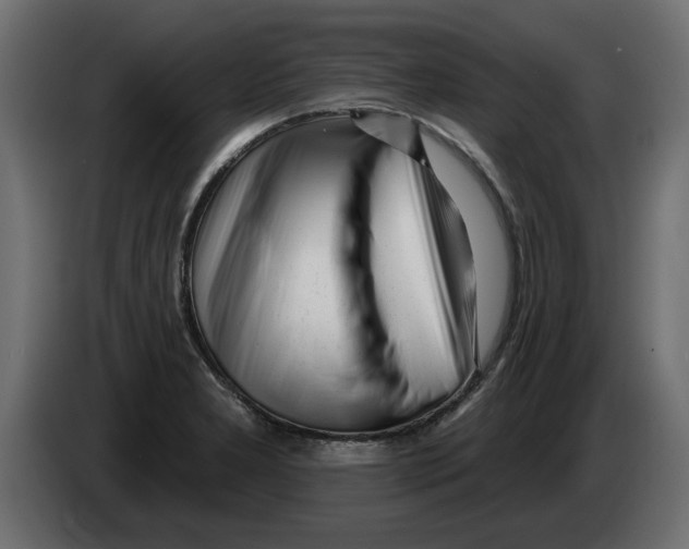 X0000082981277200703020249