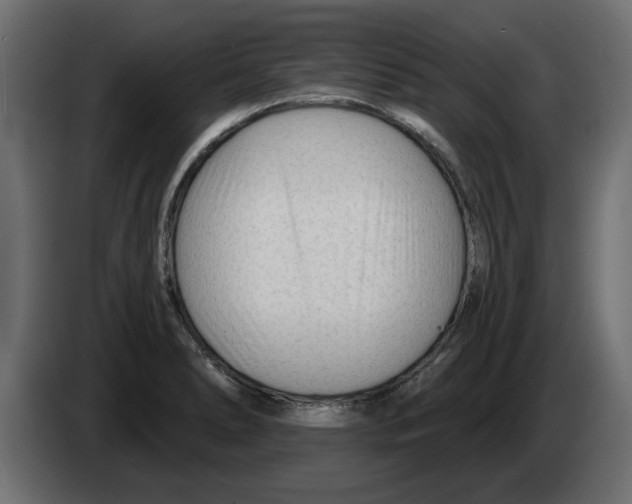 X0000082981278200703020248