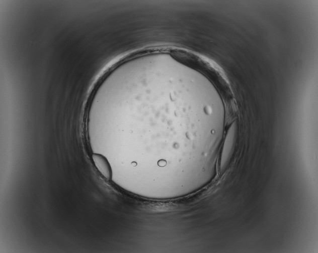 X0000082981279200703020248