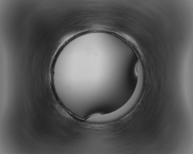 X0000082981280200703020248