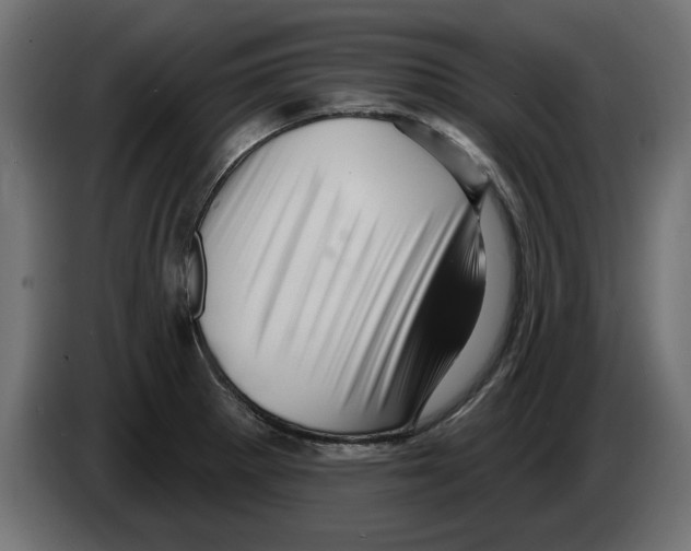 X0000082981281200703020248