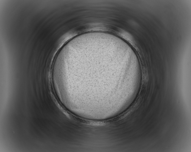 X0000082981282200703020248