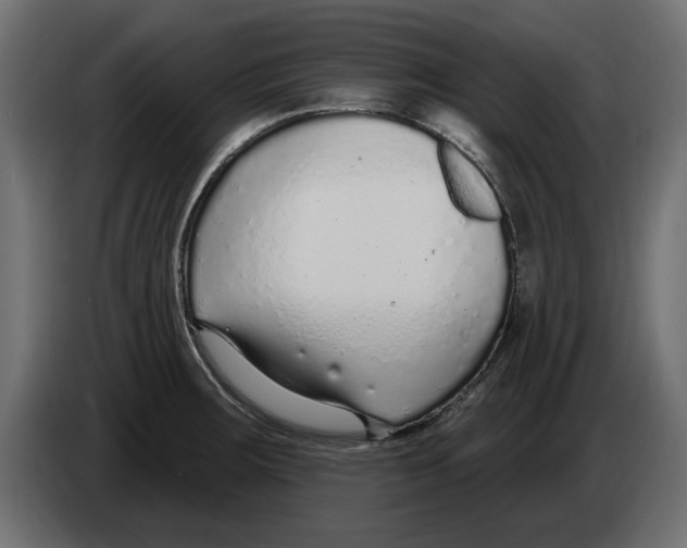 X0000082981283200703020248