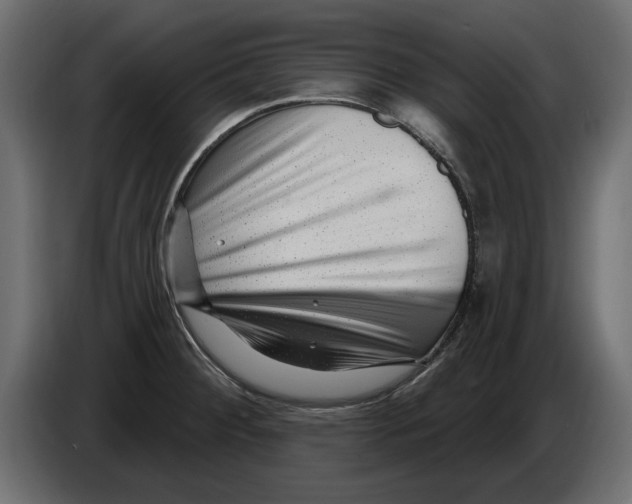X0000082981284200703020248