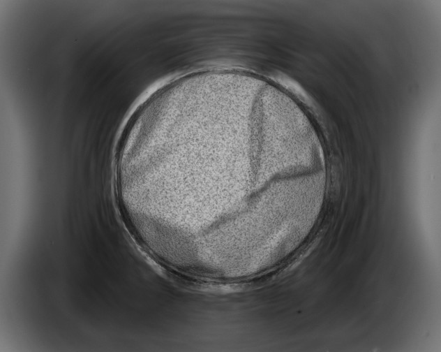 X0000082981286200703020248
