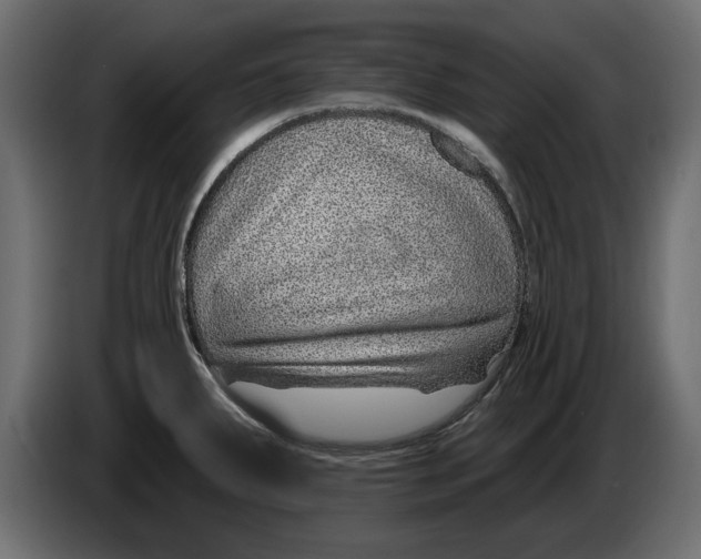X0000082981287200703020248