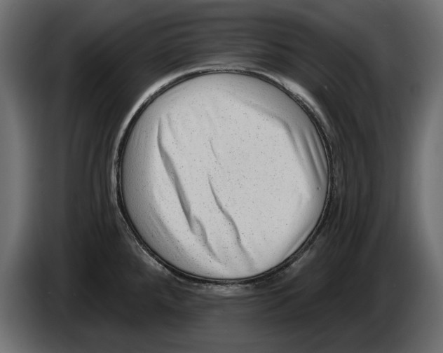 X0000082981288200703020248